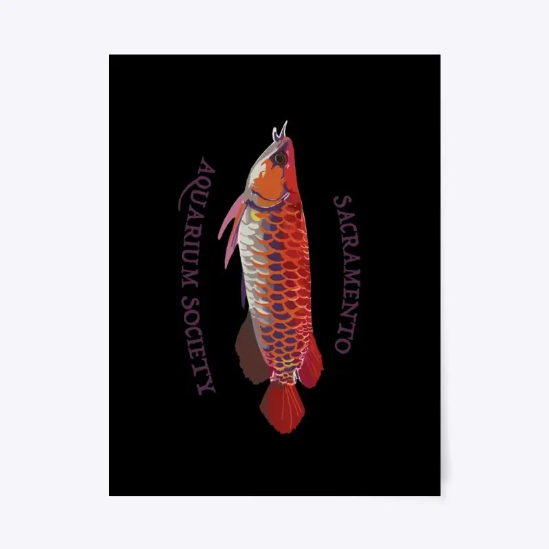 SAS Arowana 